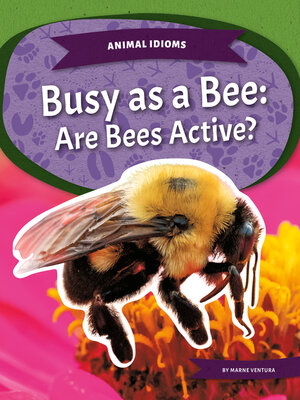 cover image of Busy as a Bee